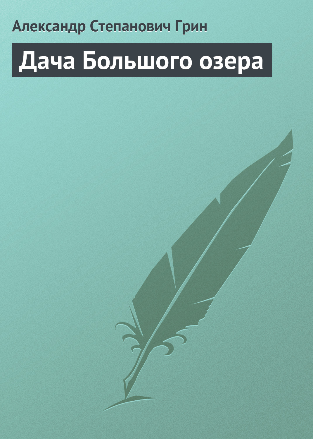 Обложка книги «Дача Большого озера»