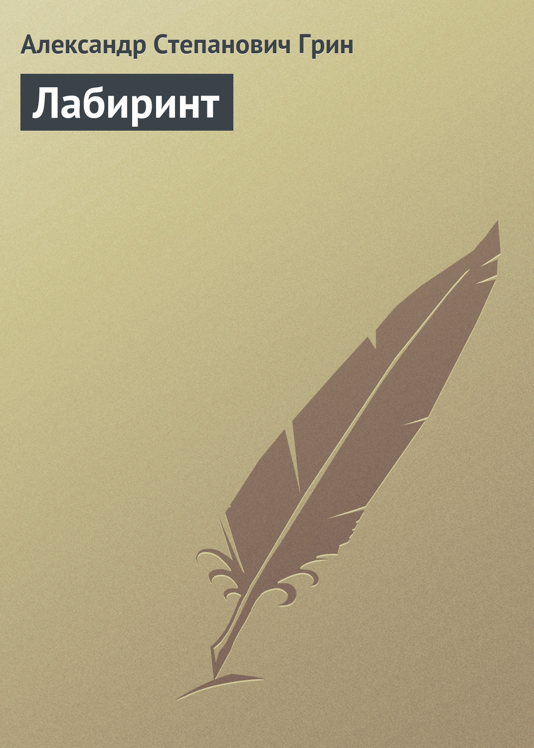 Обложка книги «Лабиринт»