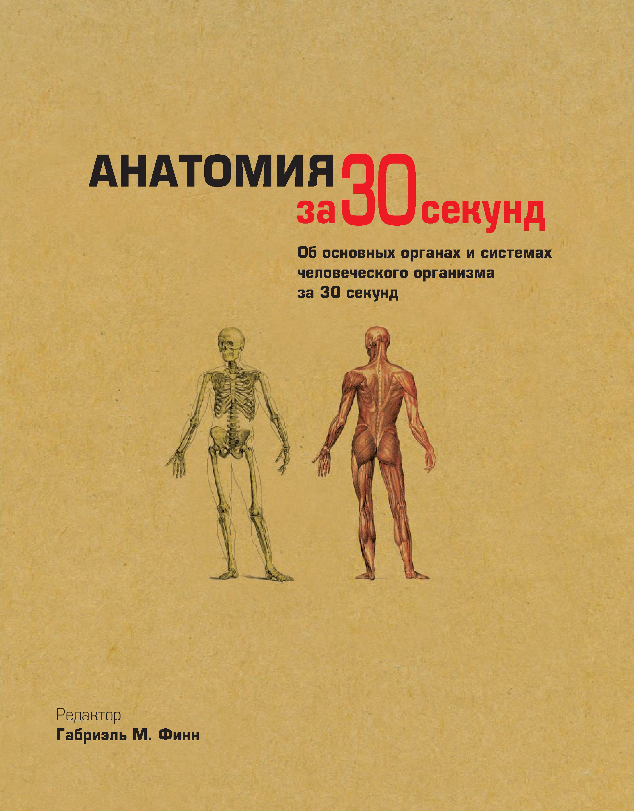 Обложка книги «Анатомия за 30 секунд»