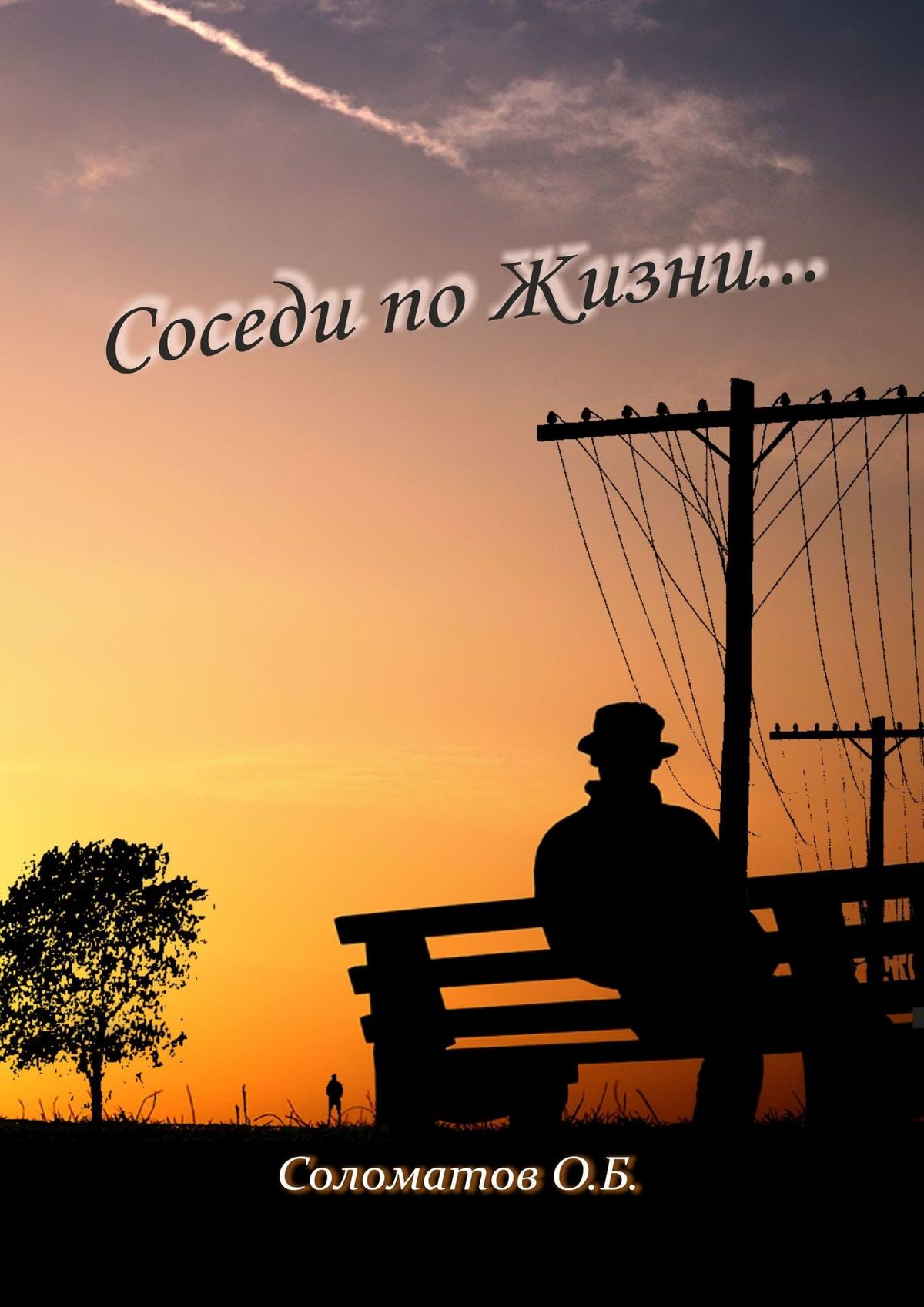 Обложка книги «Соседи по жизни…»