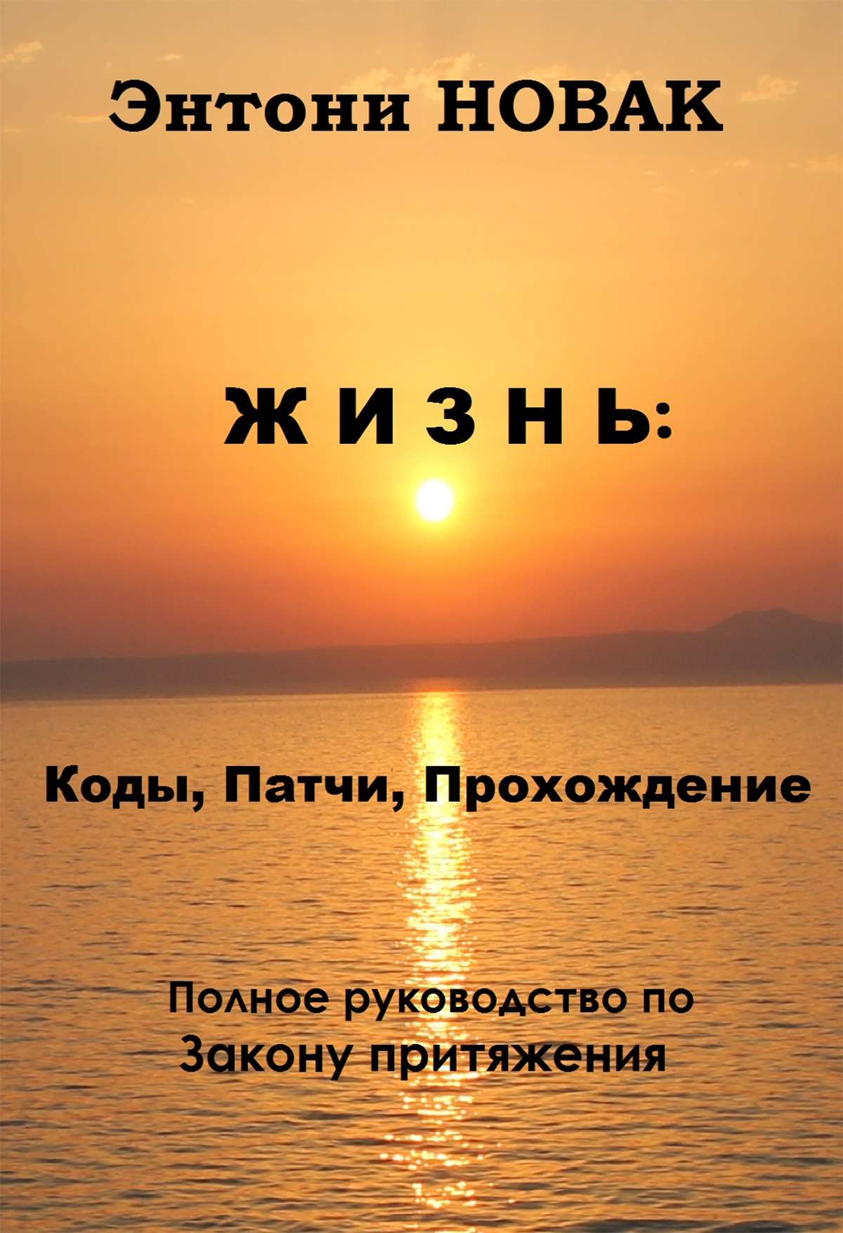 Обложка книги «Жизнь: Коды, патчи, прохождение. Полное руководство по Закону притяжения»