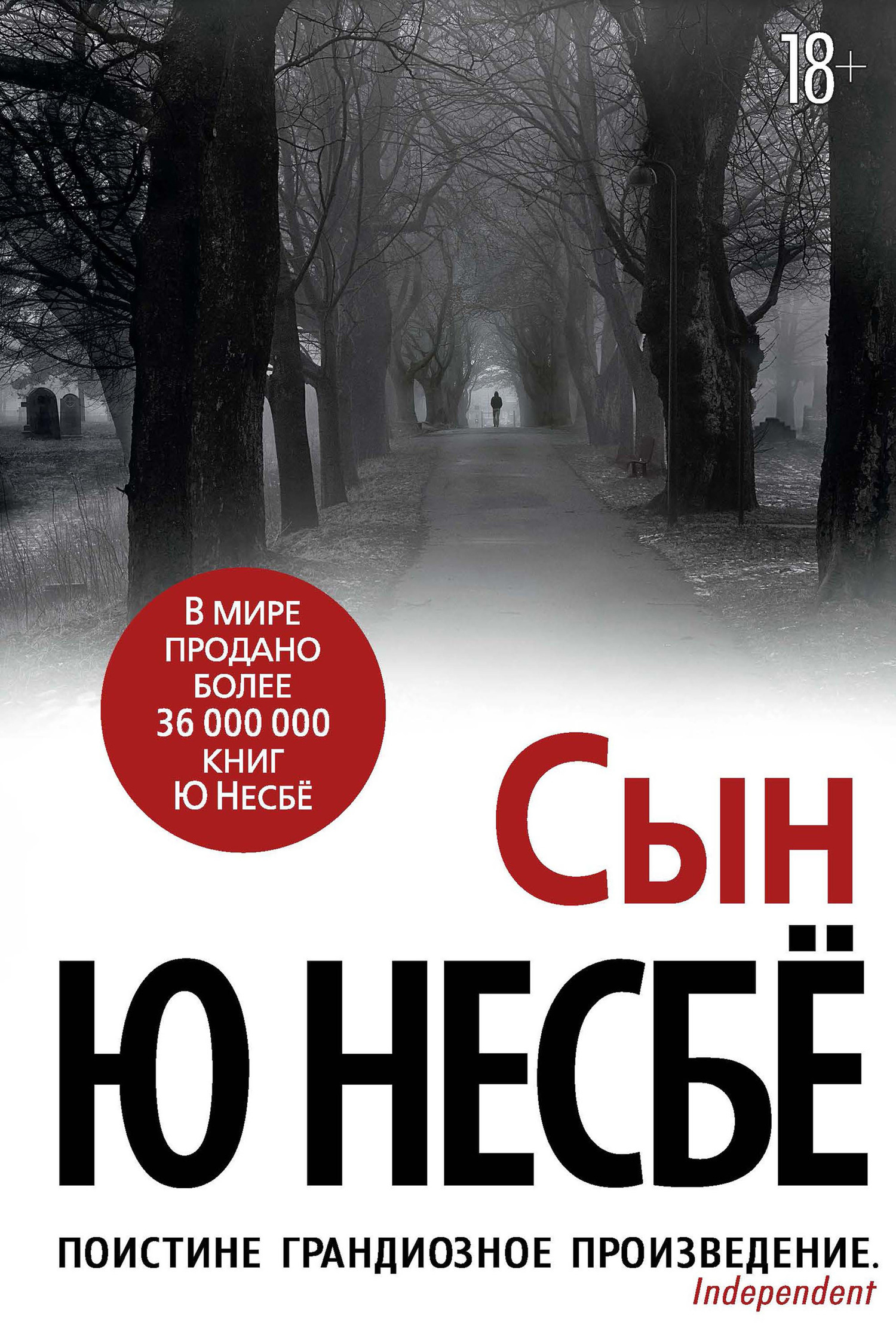Обложка книги «Сын»
