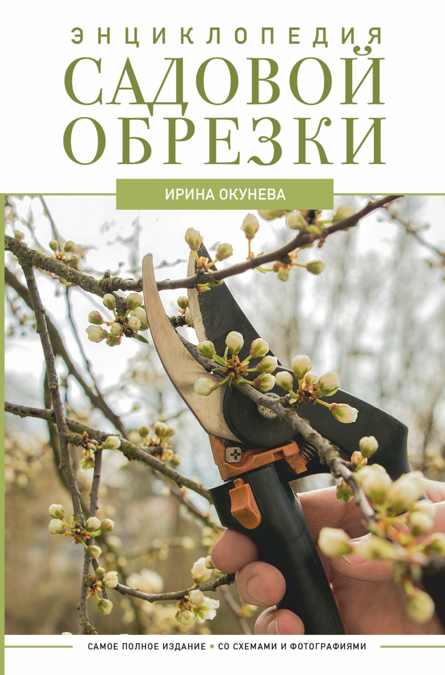 Обложка книги «Энциклопедия садовой обрезки»