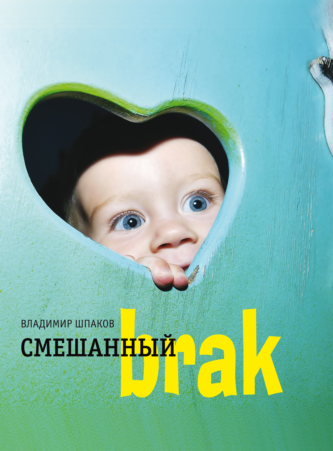 Обложка книги «Смешанный brак»