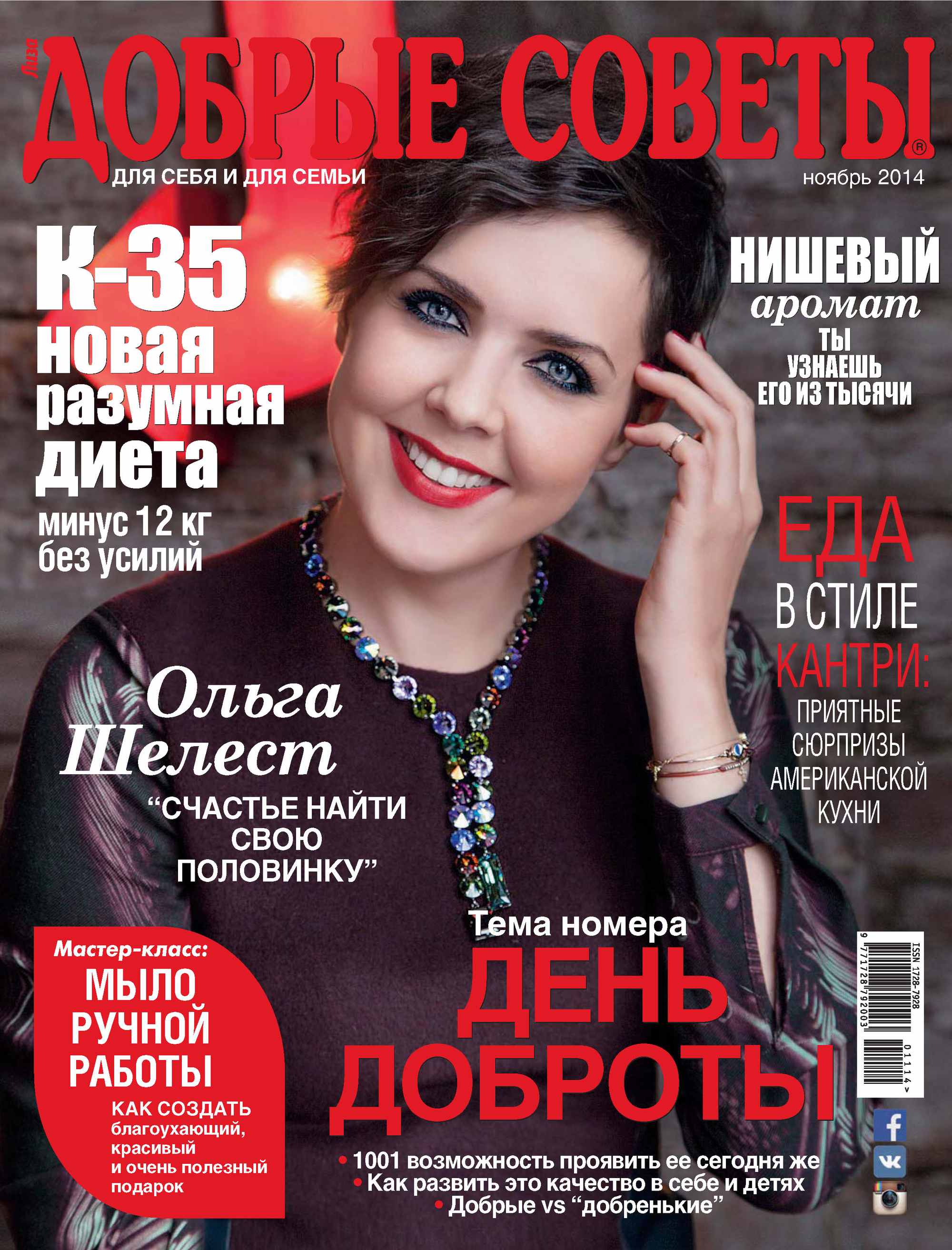 Обложка книги «Добрые советы №11/2014»