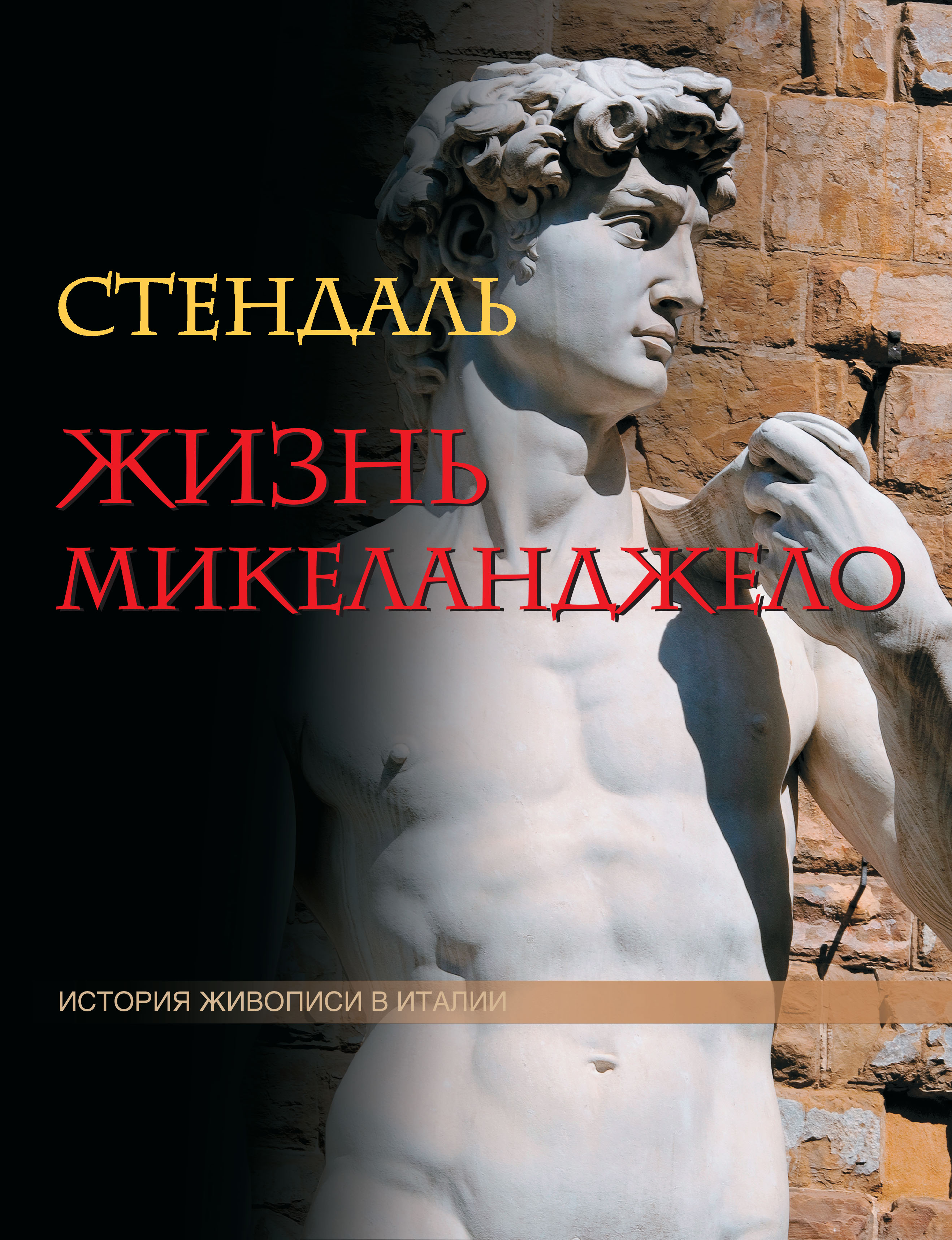 Обложка книги «Жизнь Микеланджело»