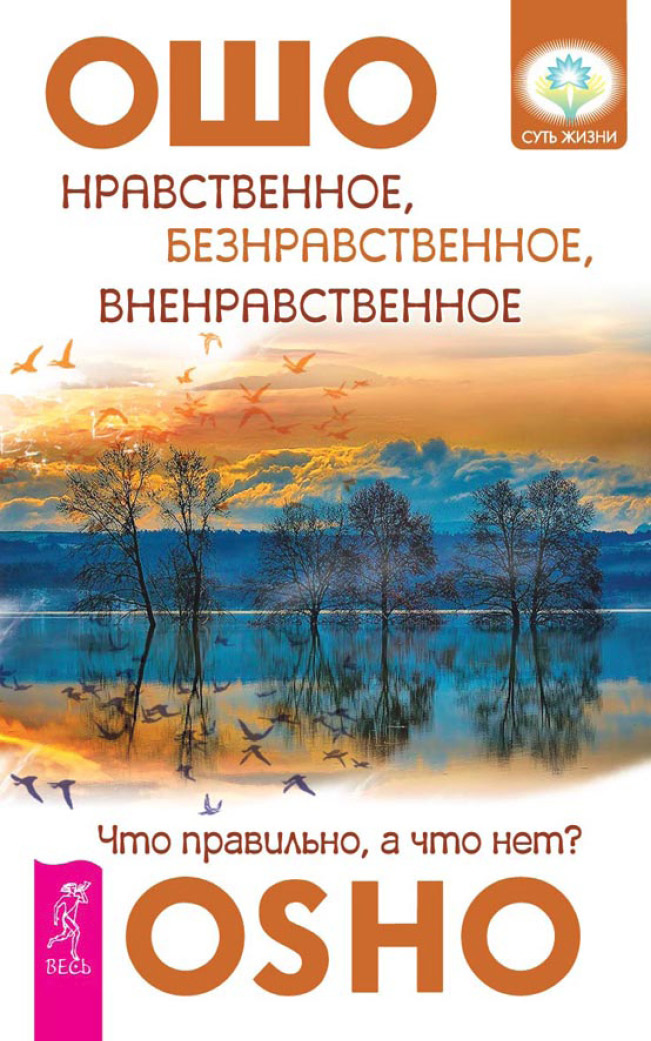 Обложка книги «Нравственное, безнравственное, вненравственное. Что правильно, а что нет?»