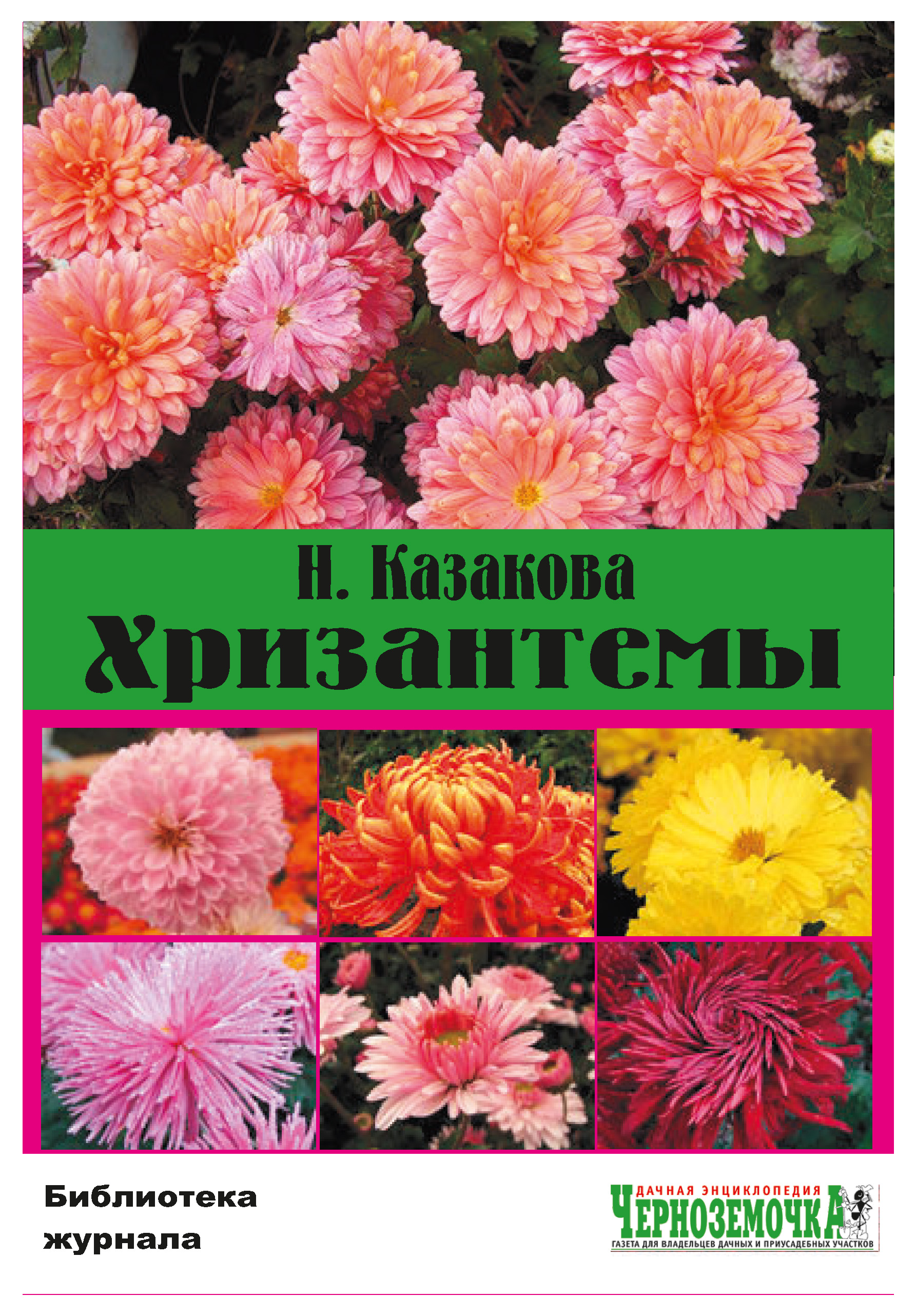 Обложка книги «Хризантемы»