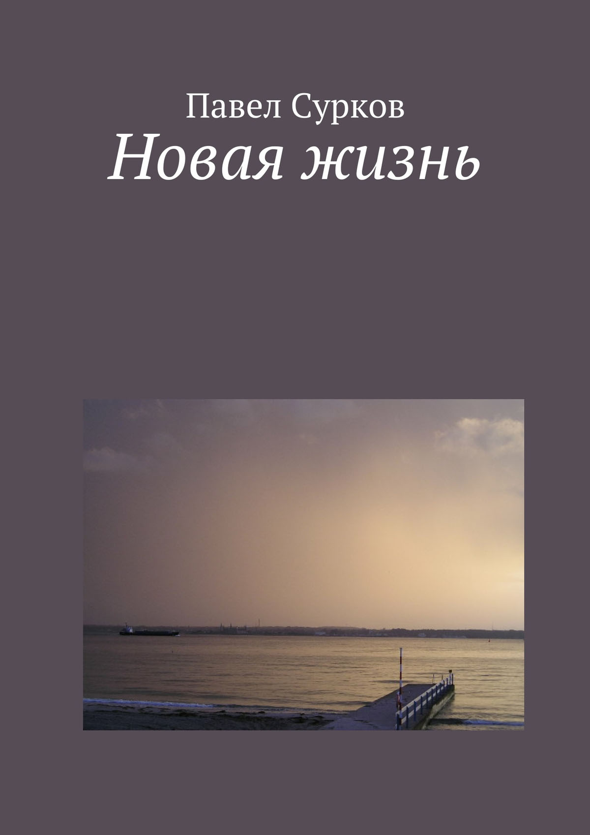 Обложка книги «Новая жизнь»