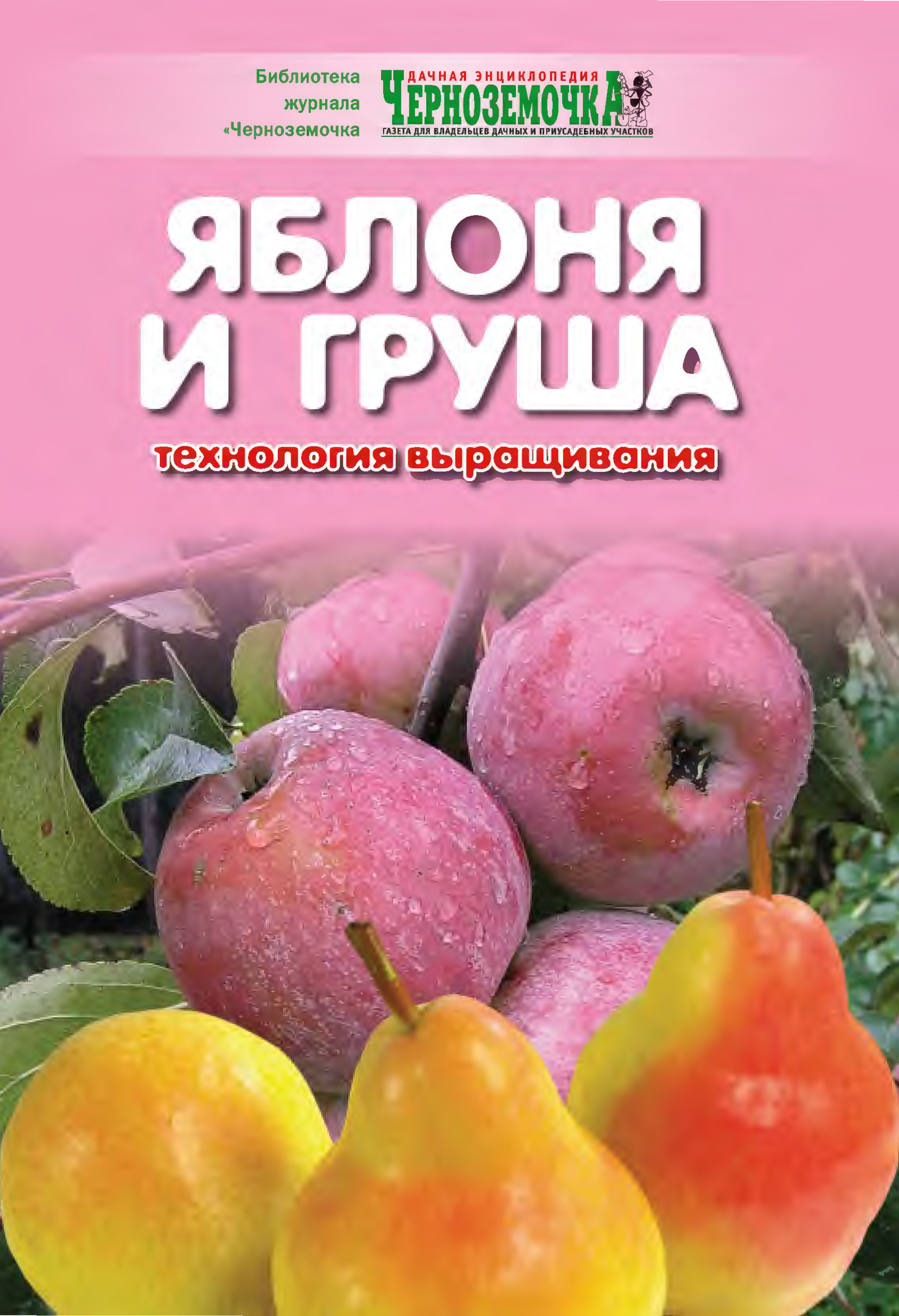 Обложка книги «Яблоня и груша. Технология выращивания»