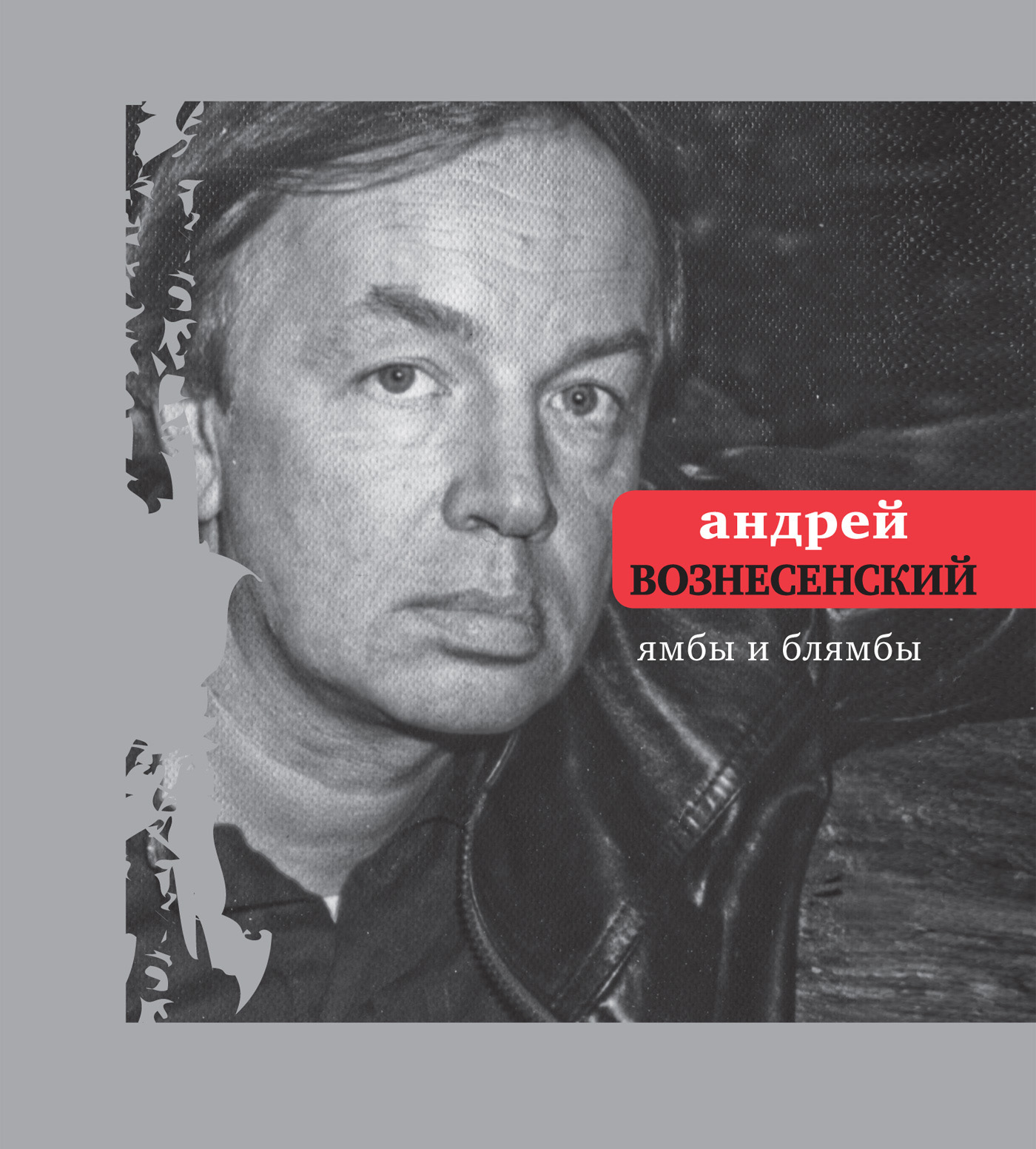 Обложка книги «Ямбы и блямбы»