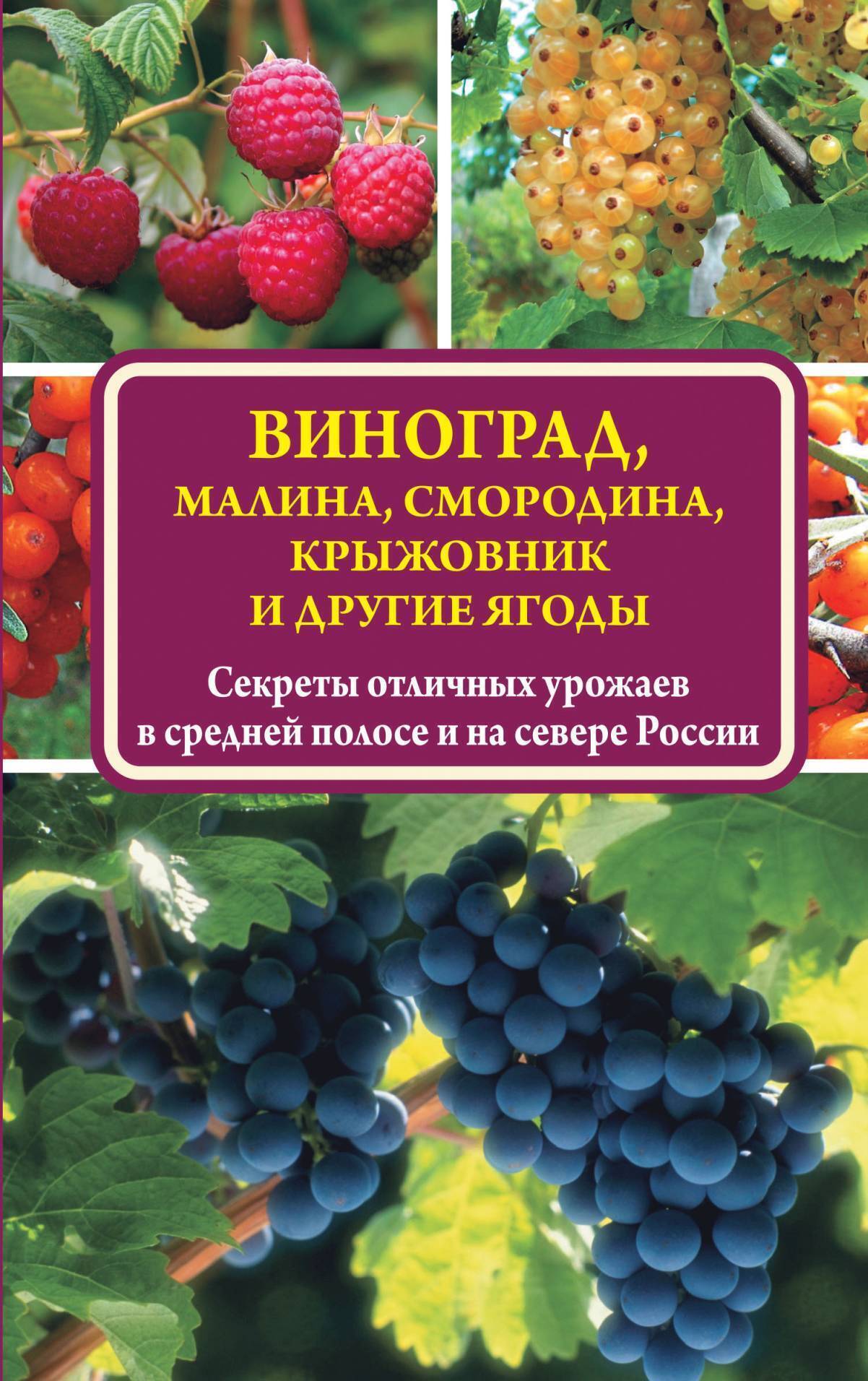 Обложка книги «Виноград, малина, смородина, крыжовник и другие ягоды»