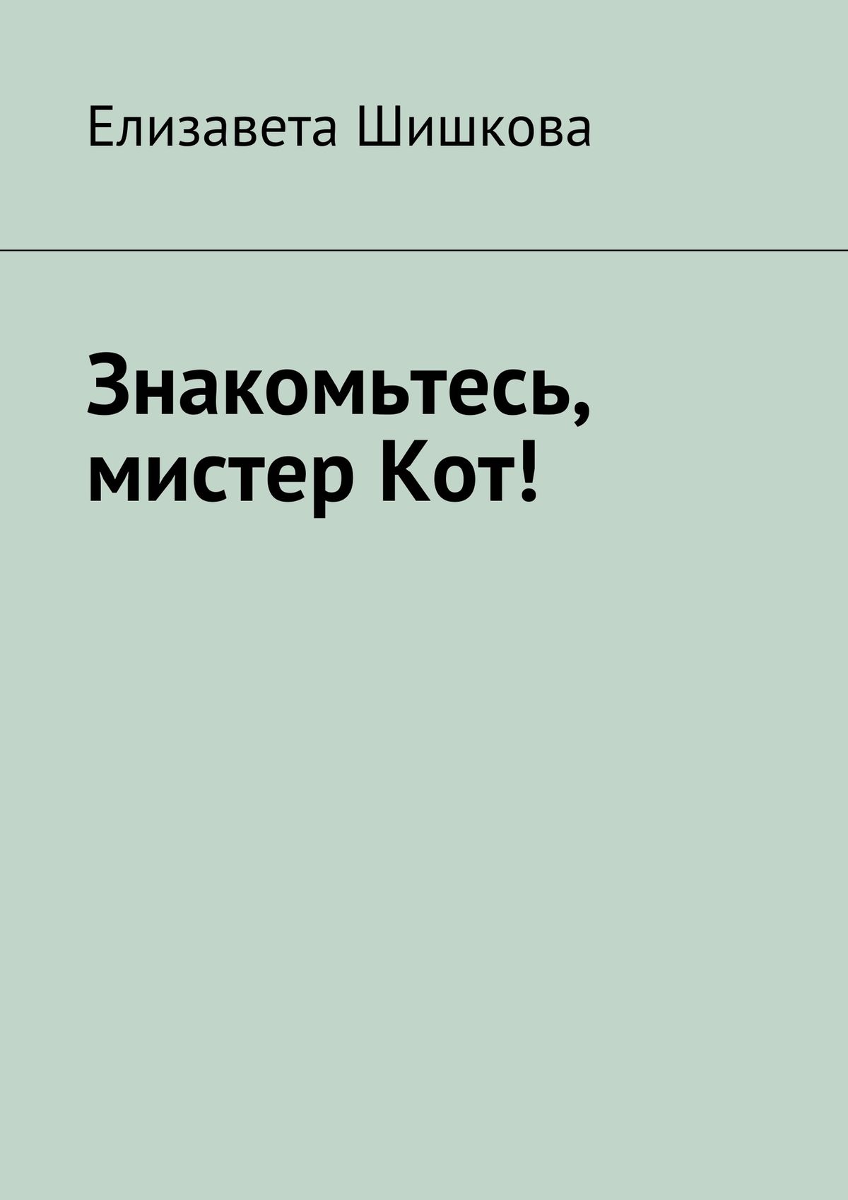 Обложка книги «Знакомьтесь, мистер Кот!»