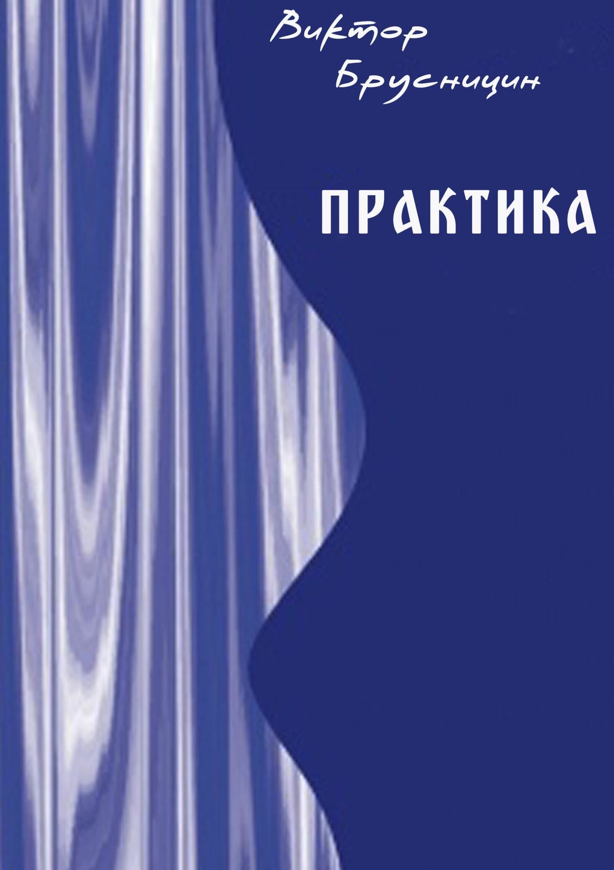 Обложка книги «Практика»