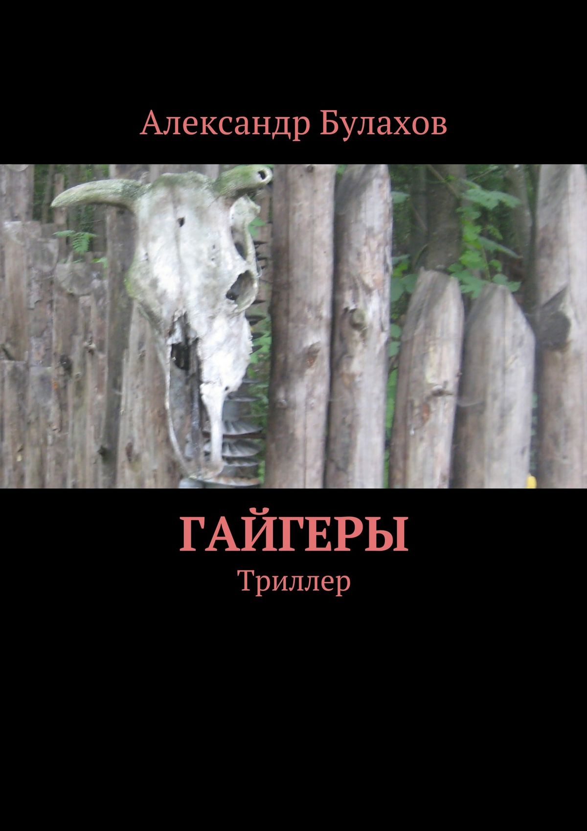 Обложка книги «Гайгеры»