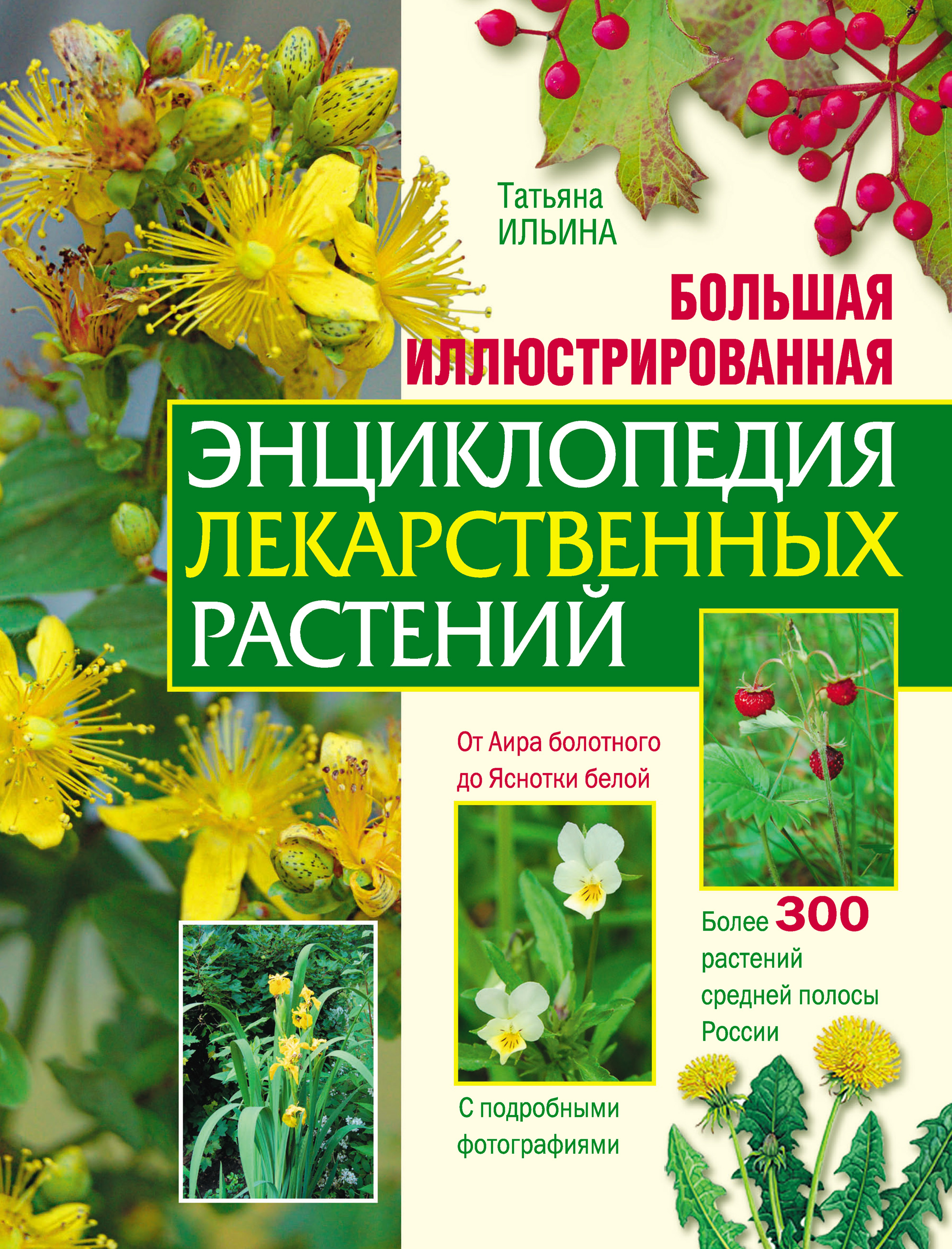Обложка книги «Большая иллюстрированная энциклопедия лекарственных растений»