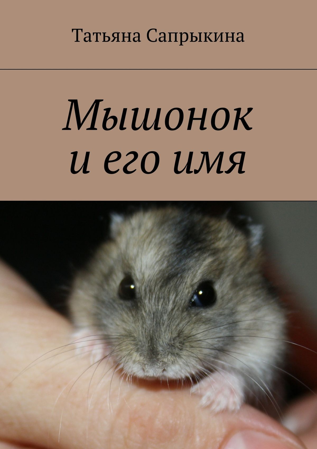 Обложка книги «Мышонок и его имя»