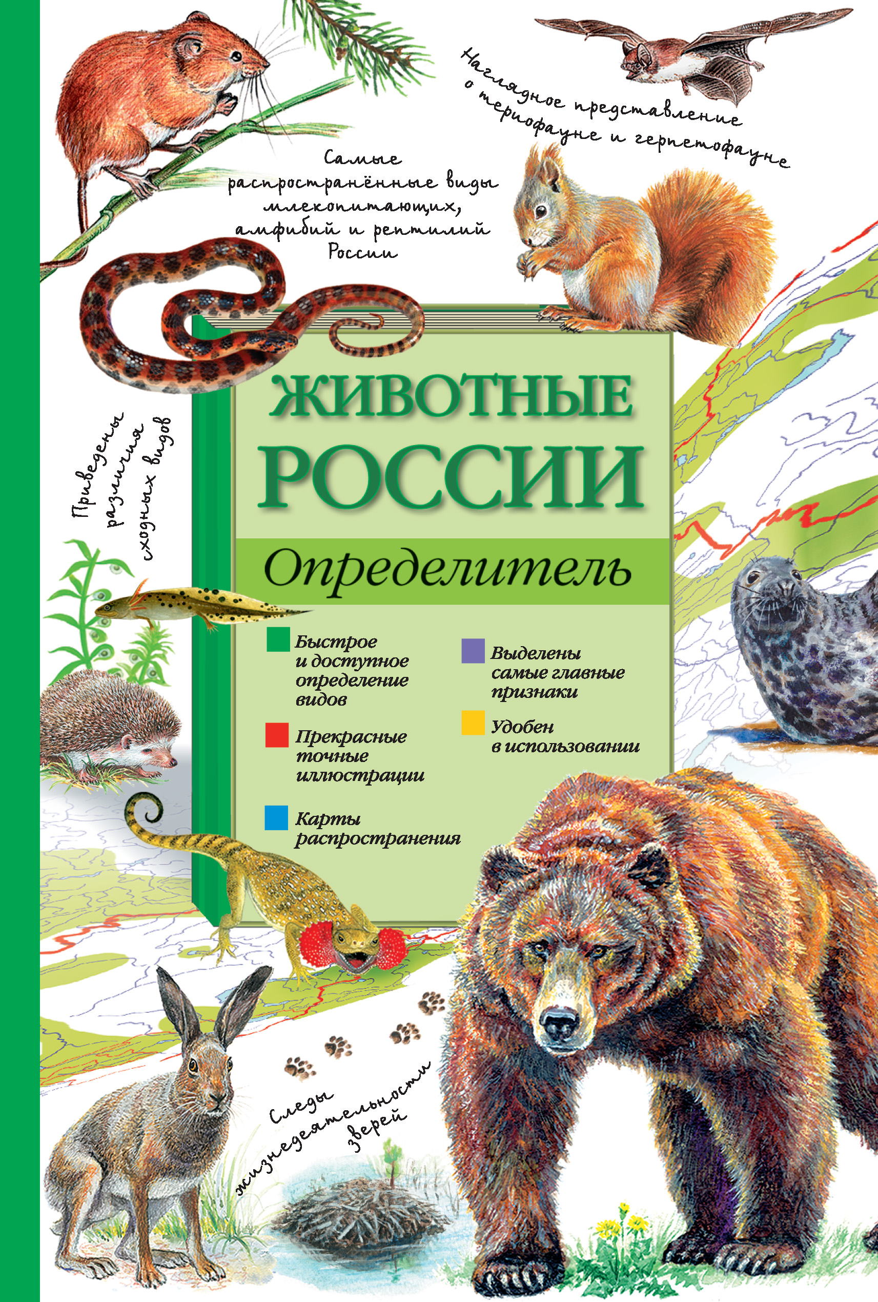 Обложка книги «Животные России. Определитель»